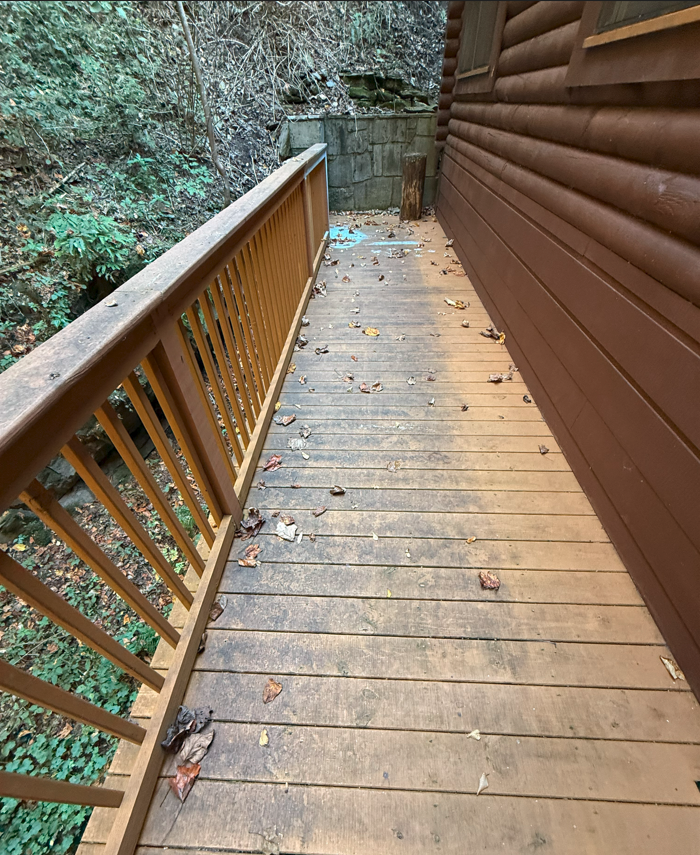 Complete Deck and Fence Cleaning & Restoration