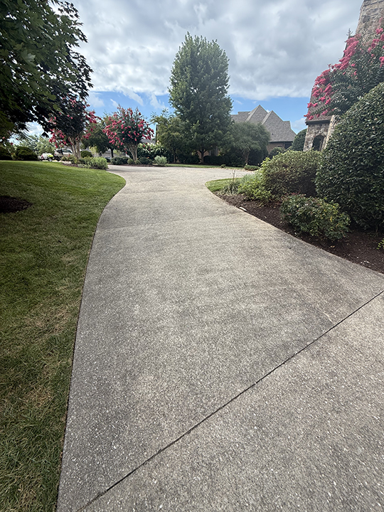 Driveway 2 - Before