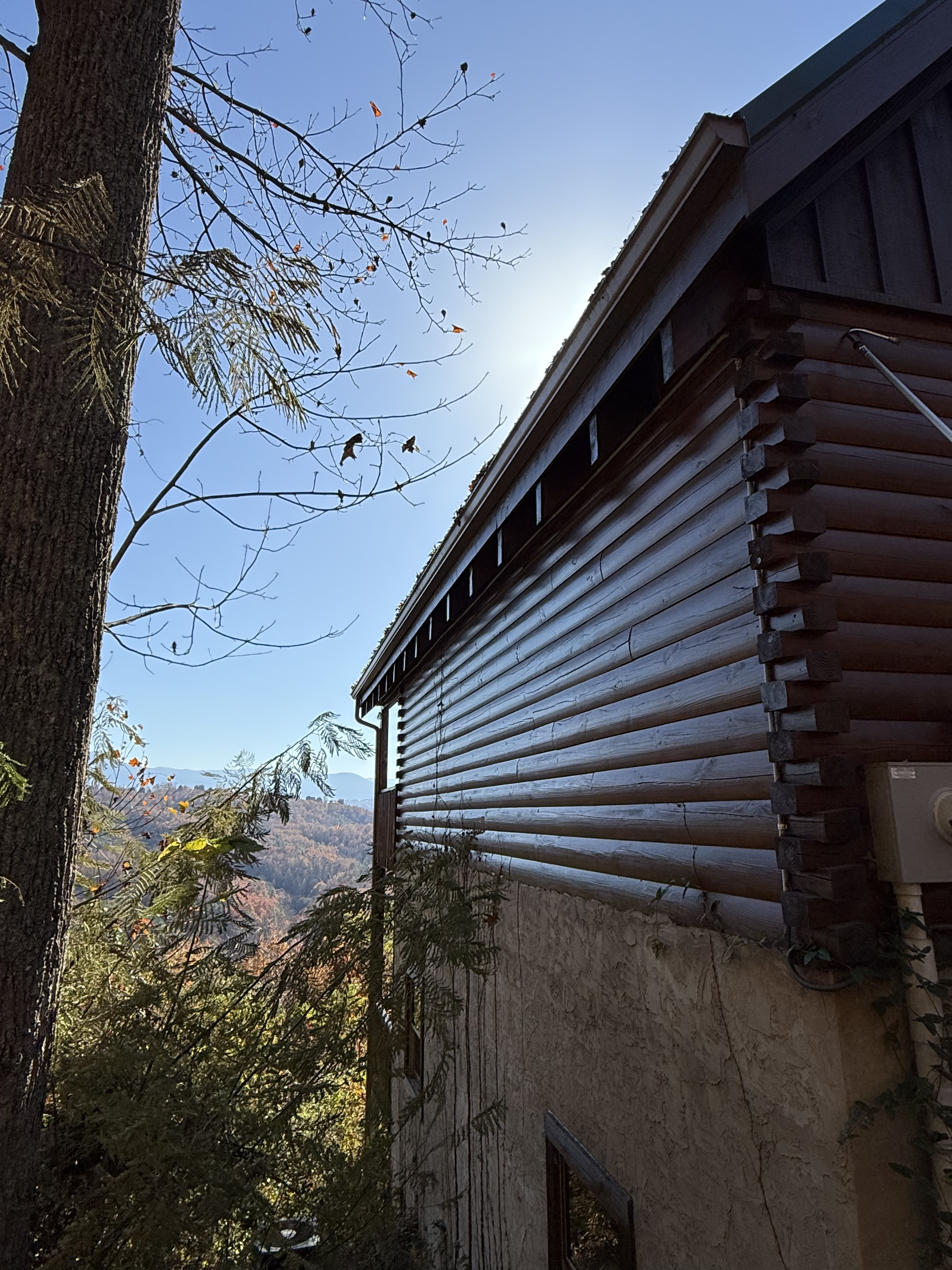 Complete Deck and Fence Cleaning & Restoration