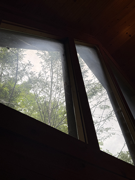 Window Cleaning - Before